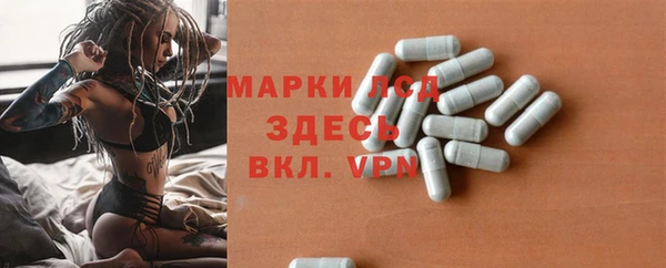трава Карпинск