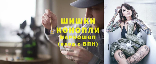 трава Карпинск