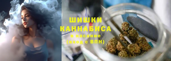 трава Карпинск