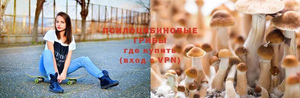 spice Карталы